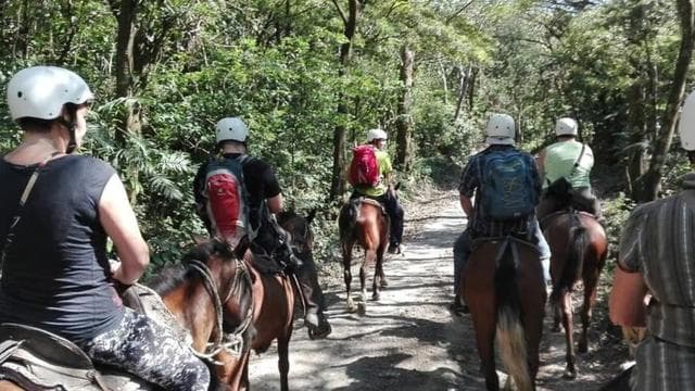 Guanacaste:Liberya Binicilik ve Nehir Tubing Macerası — Guided tour and outdoor activity