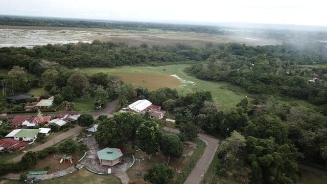 Caño Negro: rzeki i laguny: wycieczki po ptakach, florze i faunie — Guided tour and outdoor activity