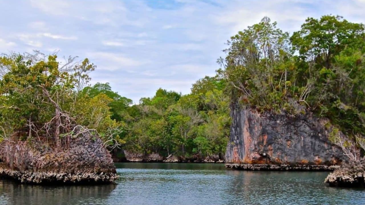 Punta Cana Day trip from Punta Cana to Los Haitises — Guided tour and outdoor activity