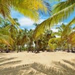 Punta Cana: Boat Tour to Isla Saona, Open Bar & Buffet Lunch — Guided tour and outdoor activity