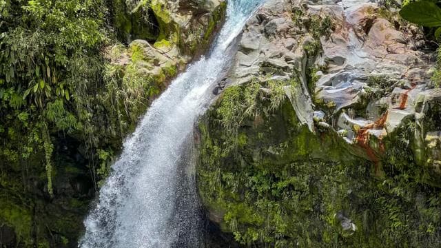 Horseback Ride to Hidden Waterfall & Hot Springs — Guided tour and outdoor activity