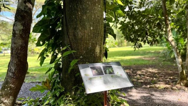 Self Guided Nature Hike with Ocean View Photo spots in Jaco — Guided tour and outdoor activity