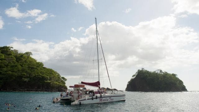 Playa Tamarindo: Sunset Sailing and Snorkeling Tour — Guided tour and outdoor activity