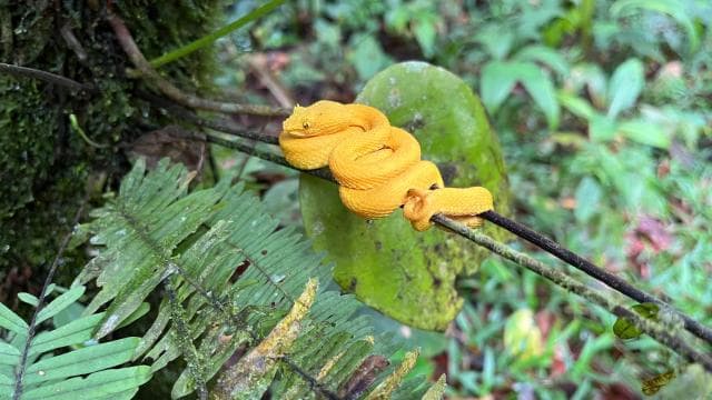 La Fortuna: Private tour Arenal Volcano — Guided tour and outdoor activity