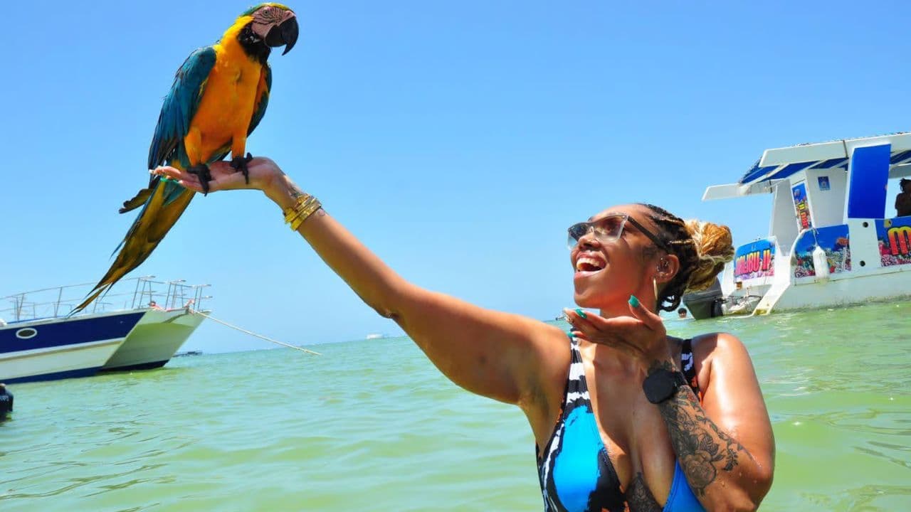 PARTY BOAT WITH OPEN BAR CATAMARAN CRUISE PUNTA CANA — Guided tour and outdoor activity