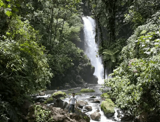 San José: Guided Volcano, Waterfall & Coffee Farm Day Trip — Guided tour and outdoor activity