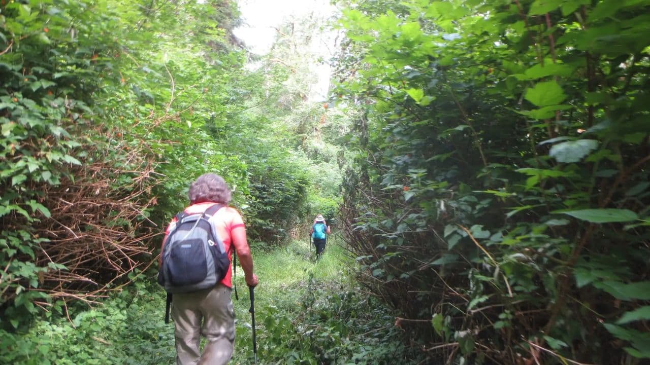 Hiking the 27 Waterfalls of Damajagua Tour from Sto. Dgo. — Guided tour and outdoor activity