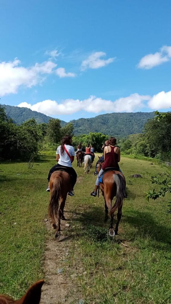Jarabacoa: Horseride Excursion to Salto Baiguate Waterfall — Guided tour and outdoor activity