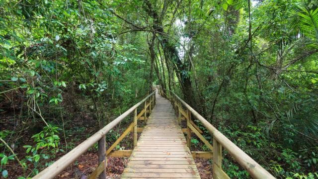 Tarcoles Nehri'nde 1 saat 45 dakika Timsah Macera Turu — Guided tour and outdoor activity