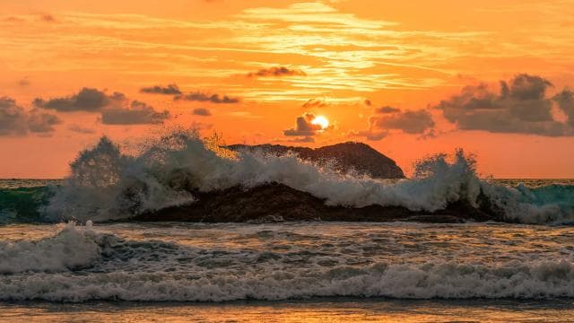 From San José: Full day Manuel Antonio National Park — Guided tour and outdoor activity