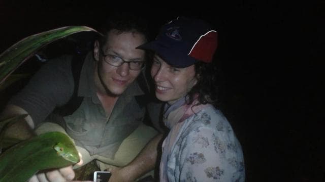 Tortuguero: Night Wildlife Spotting and Jungle Walk — Guided tour and outdoor activity