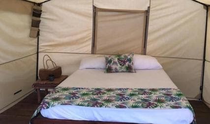 Expérience de glamping à Bahía de las águilas au départ de Saint-Domingue — Guided tour and outdoor activity