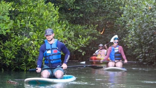 Nosara: Rio Montana Mangrove SUP or Kayak Tour — Guided tour and outdoor activity