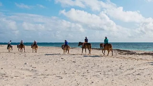 Playa Flamingo: Horseback Riding on the Beach — Guided tour and outdoor activity