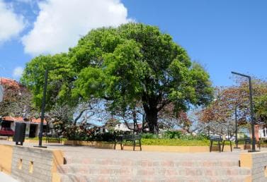 Puerto Plata City Tour and Cable Car Ride — Guided tour and outdoor activity