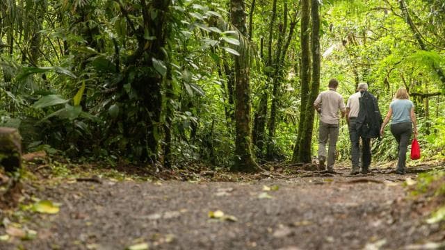 Rio Celeste Waterfall in Tenorio Volcano National Park — Guided tour and outdoor activity