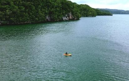 Samana: Private Los Haitises Expedition Caves & Mangroves — Guided tour and outdoor activity