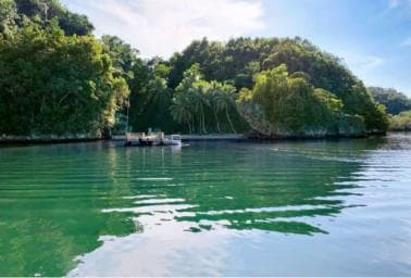 Samana: Národní park Los Haitises a celodenní prohlídka Caño Hondo — Guided tour and outdoor activity