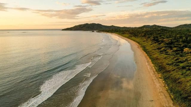 Uvita: Private Marino Ballena Boat Cruise Whales & Dolphins — Guided tour and outdoor activity