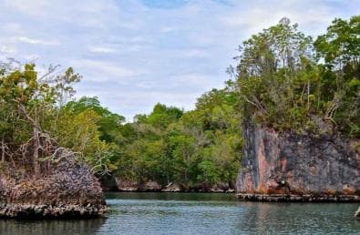Miches'ten Macera: Los Haitises, Caño Hondo ve Yanigua — Guided tour and outdoor activity