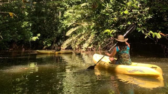 KARAYİP DENEYİMİ - PUNTA UVA — Guided tour and outdoor activity