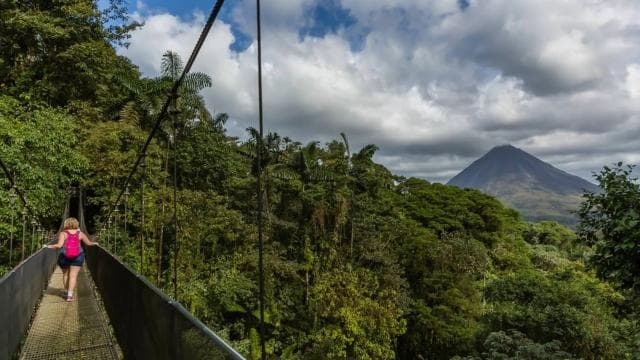 From La Fortuna: Mistico Arenal Hanging Bridges Park Tour — Guided tour and outdoor activity