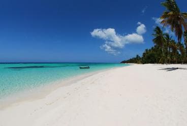 Isla Saona Wildlife Safari: Your All-Inclusive Escape — Guided tour and outdoor activity