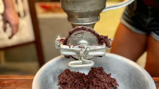 San Jose: Cacao & Chocolate Workshop — Guided tour and outdoor activity