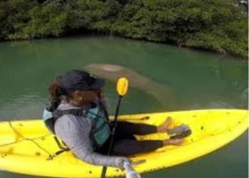Private: Kayak Adventure at Los Haitises Sunrise Exploration — Guided tour and outdoor activity