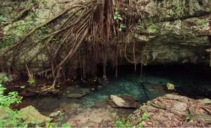 Private: Bayahibe: Jungle Walk and Cenote Snorkeling Tour — Guided tour and outdoor activity