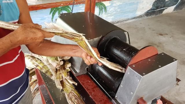 Puerto Limon: City Highlights and Cahuita National Park Tour — Guided tour and outdoor activity