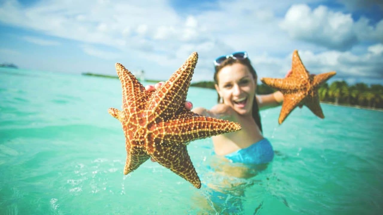 Saona Island Excursion Punta Cana — Guided tour and outdoor activity