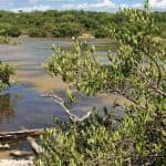 Jaragua National Park: Explore Laguna de Oviedo — Guided tour and outdoor activity