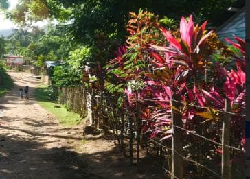 Las Terrenas: El Limón Waterfall Trekking Tour in Samana — Guided tour and outdoor activity