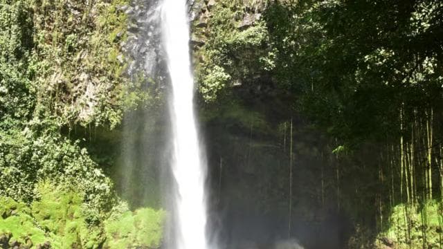 La Fortuna Waterfall: Arenal Volcano and Hanging Bridges — Guided tour and outdoor activity