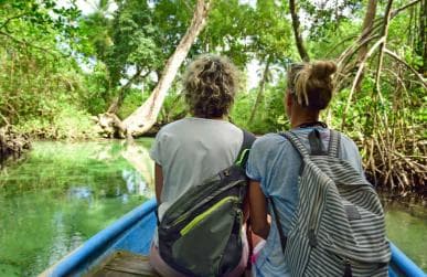 Los Haitises: Caves, Mangroves, & Rainforest Hike/Boat Tour — Guided tour and outdoor activity