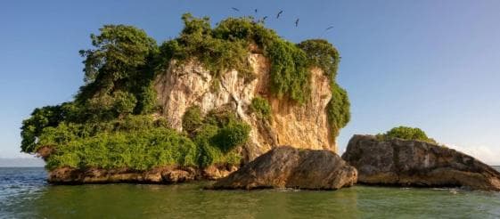 Los Haitises National Park: Boat Tour with Caves Visit — Guided tour and outdoor activity
