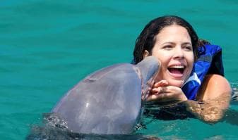 Punta Cana Dolphin Adventure: 40-Minute Interaction — Guided tour and outdoor activity