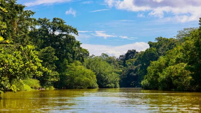 Tortuguero boat tour, Maratopia tropical garden & beach, incl. fruit — Guided tour and outdoor activity