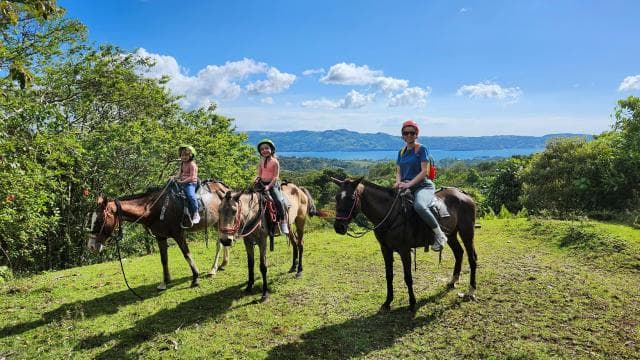 CRParaiso: Horseback Riding Adventure — Guided tour and outdoor activity
