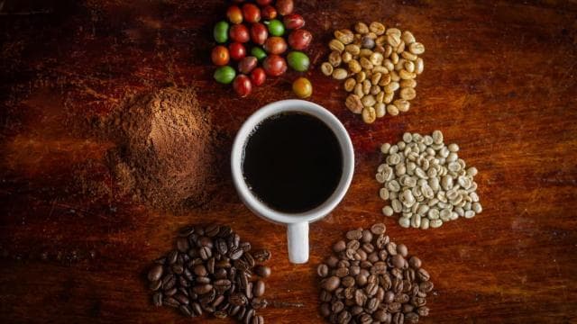 La Fortuna: Don Juan Arenal Coffee and Chocolate Tour — Guided tour and outdoor activity