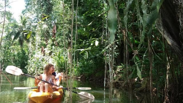 Punta Uva: Kayak and Sloth Watching Tour — Guided tour and outdoor activity
