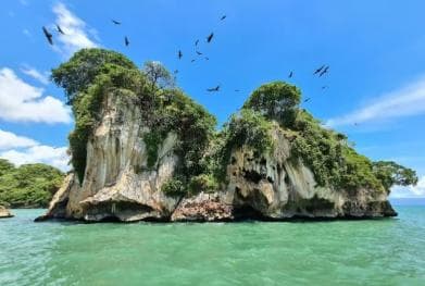 Los Haitises National Park: Private Boat Tour from Caño — Guided tour and outdoor activity