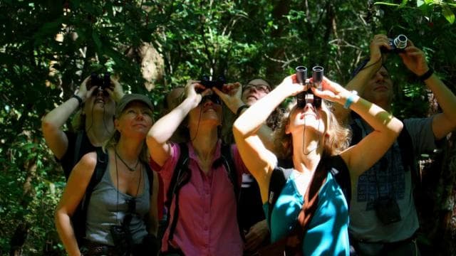 La Fortuna: Arenal Volcano, Lunch, & Hotsprings Morning Tour — Guided tour and outdoor activity