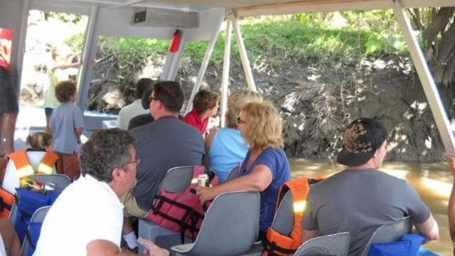 Papagayo Gulf: Palo Verde National Park Boat Tour — Guided tour and outdoor activity