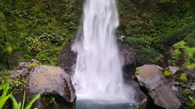 San Jose: Irazú & Turrialba Volcanos & Orosi Valley Day Tour — Guided tour and outdoor activity
