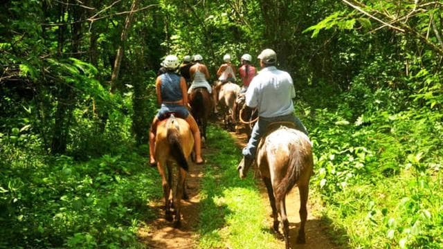 Monteverde: Horseback Riding Tour — Guided tour and outdoor activity