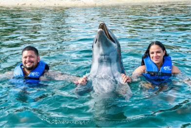 Puerto Plata: Ocean World Adventure Park Swim with Dolphins — Guided tour and outdoor activity