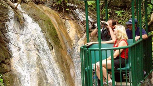 Jaco Beach: Pacific Aerial Tram at Rainforest Adventures — Guided tour and outdoor activity