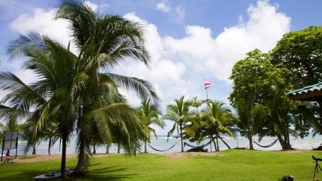 Corcovado National Park: Guided Hiking Tour - Full Day — Guided tour and outdoor activity
